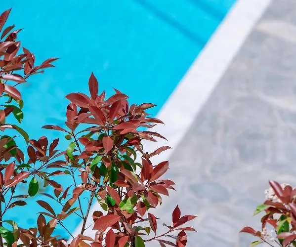 Danai & Palm Residential Complexes Appartement